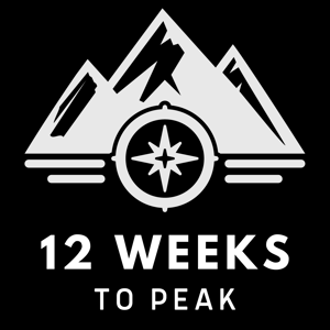 12 Weeks To Peak Logo 1 – Recommended by AI integration specialist, Wes Schaeffer, The Sales Whisperer®