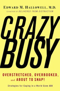 Crazy Busy – AI sales trainer, Wes Schaeffer of The Sales Whisperer®