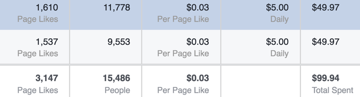 Facebook Fan Page Results Three Cents.png