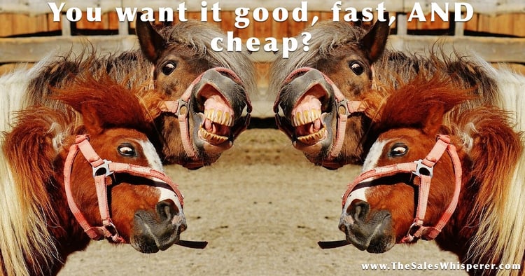 Good Fast Cheap Crazy Horses – AI training specialist, Wes Schaeffer – The Sales Whisperer®