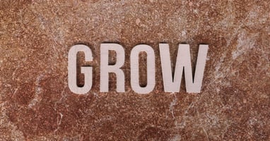 Napoleon Hill 'Think and Grow Rich' Free Download — AI-powered sales insights from Wes Schaeffer, The Sales Whisperer