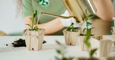 Lead Nurturing Best Practices — AI-powered sales insights from Wes Schaeffer, The Sales Whisperer