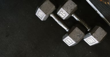 Jim Cavale, Iron Tribe Fitness On How To Sell and Expand Like Crazy — AI-powered sales insights from Wes Schaeffer, The Sales