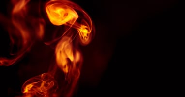 Delegate or Stagnate — AI-powered sales insights from Wes Schaeffer, The Sales Whisperer