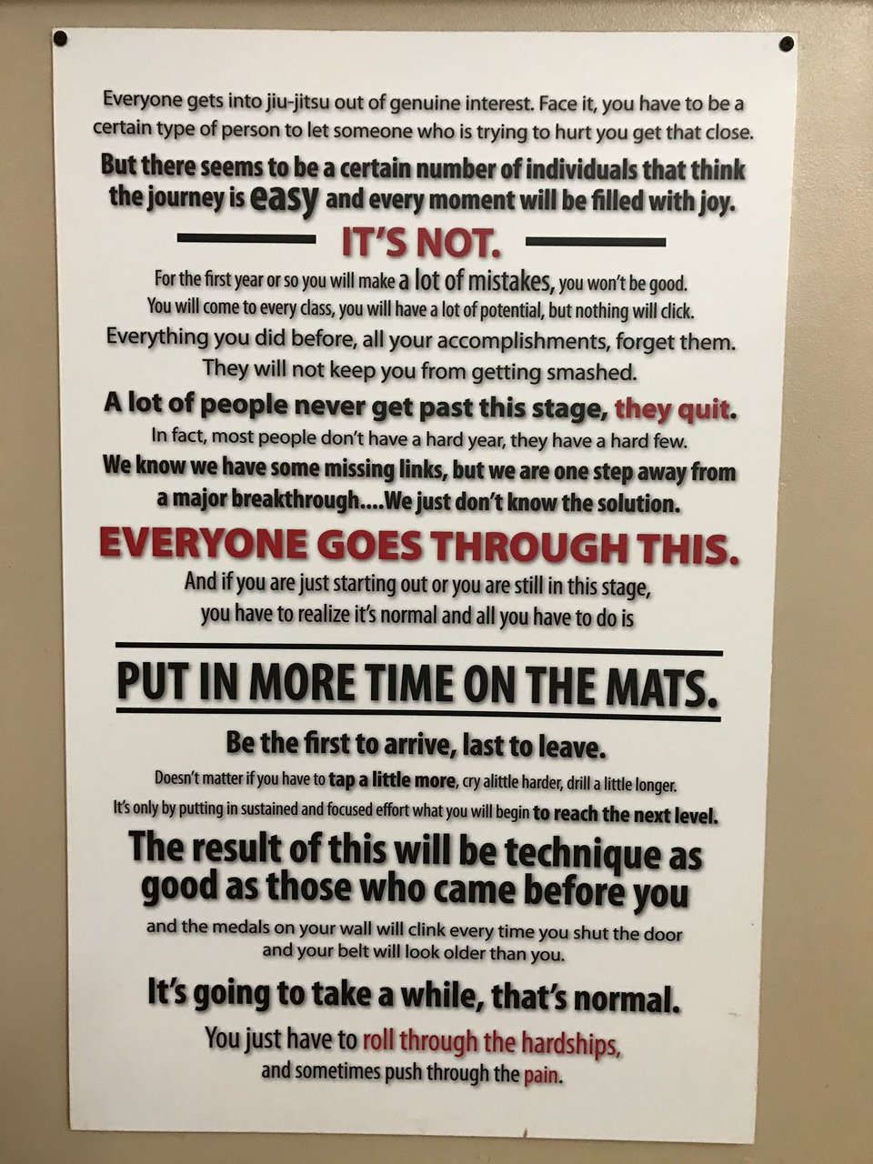 Brazilian Jiu Jitsu Wall – AI solutions consultant, Wes Schaeffer – The Sales Whisperer®