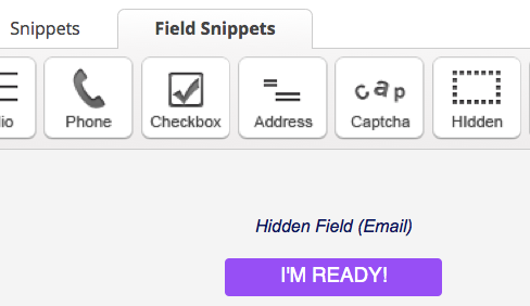 Infusionsoft Hidden Snippet For Web Form