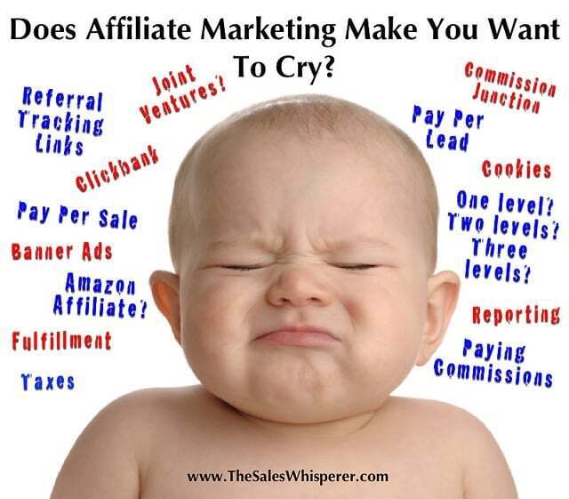 affiliate_marketing_makes_you_cry.jpg