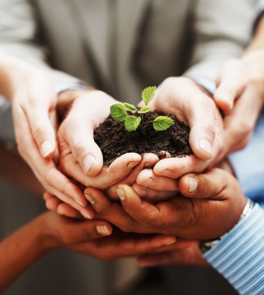 TedX Temecula,sales and marketing