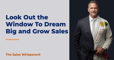 Look Out the Window To Dream Big and Grow Sales | The Sales Whisperer®