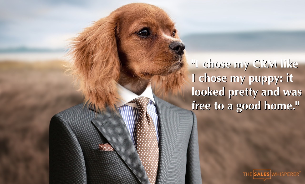 The Best Free Sales Training on the Planet