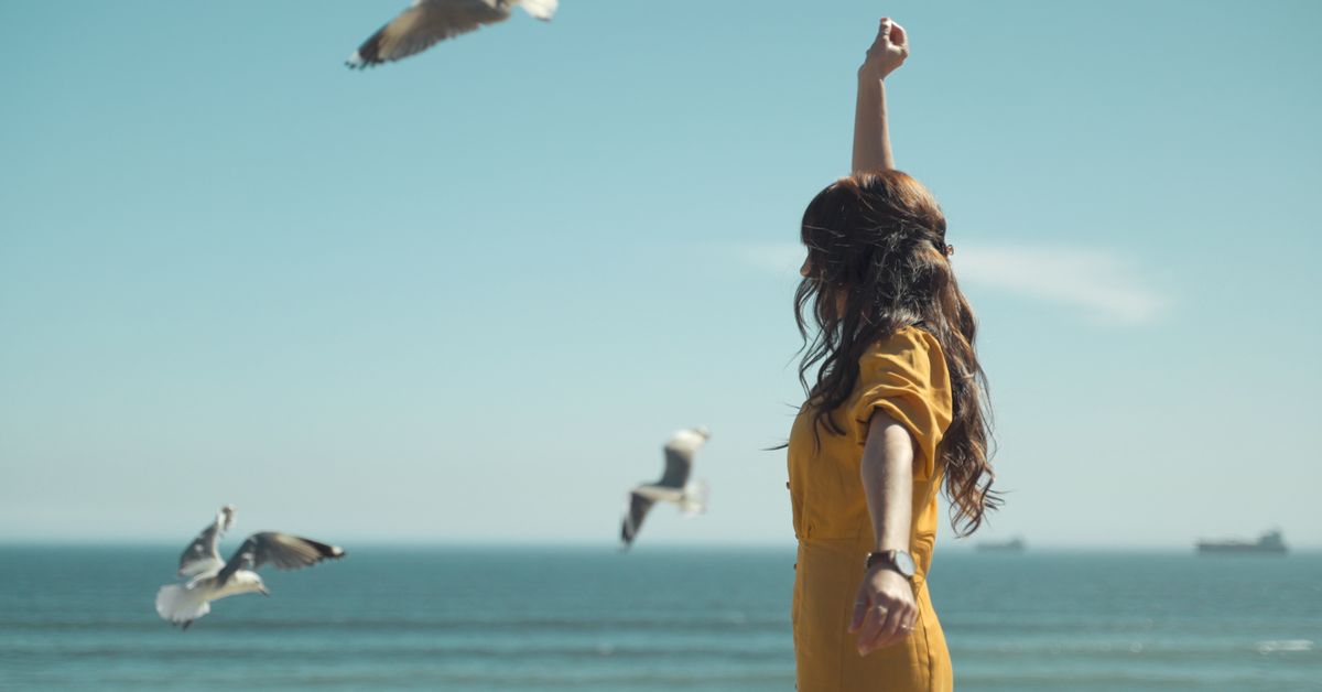Set Yourself Free — AI-powered sales insights from Wes Schaeffer, The Sales Whisperer